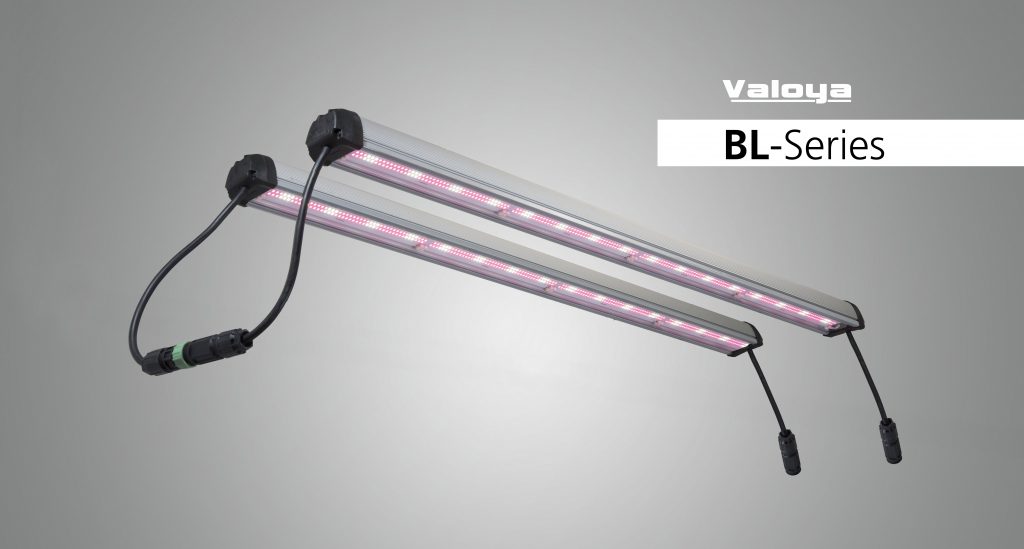 BL120-LED-Grow-Lights-for-Greenhouses-1024x549