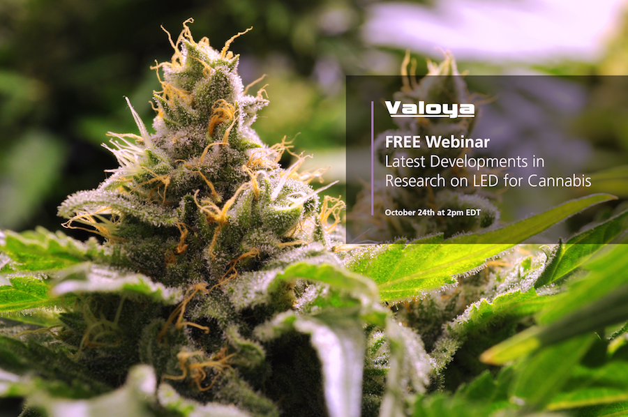 Valoya Cannabis Webinar
