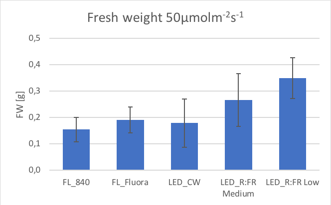 White-LED-Light-Trial-1